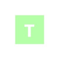 Лого ТД Система Безопасности